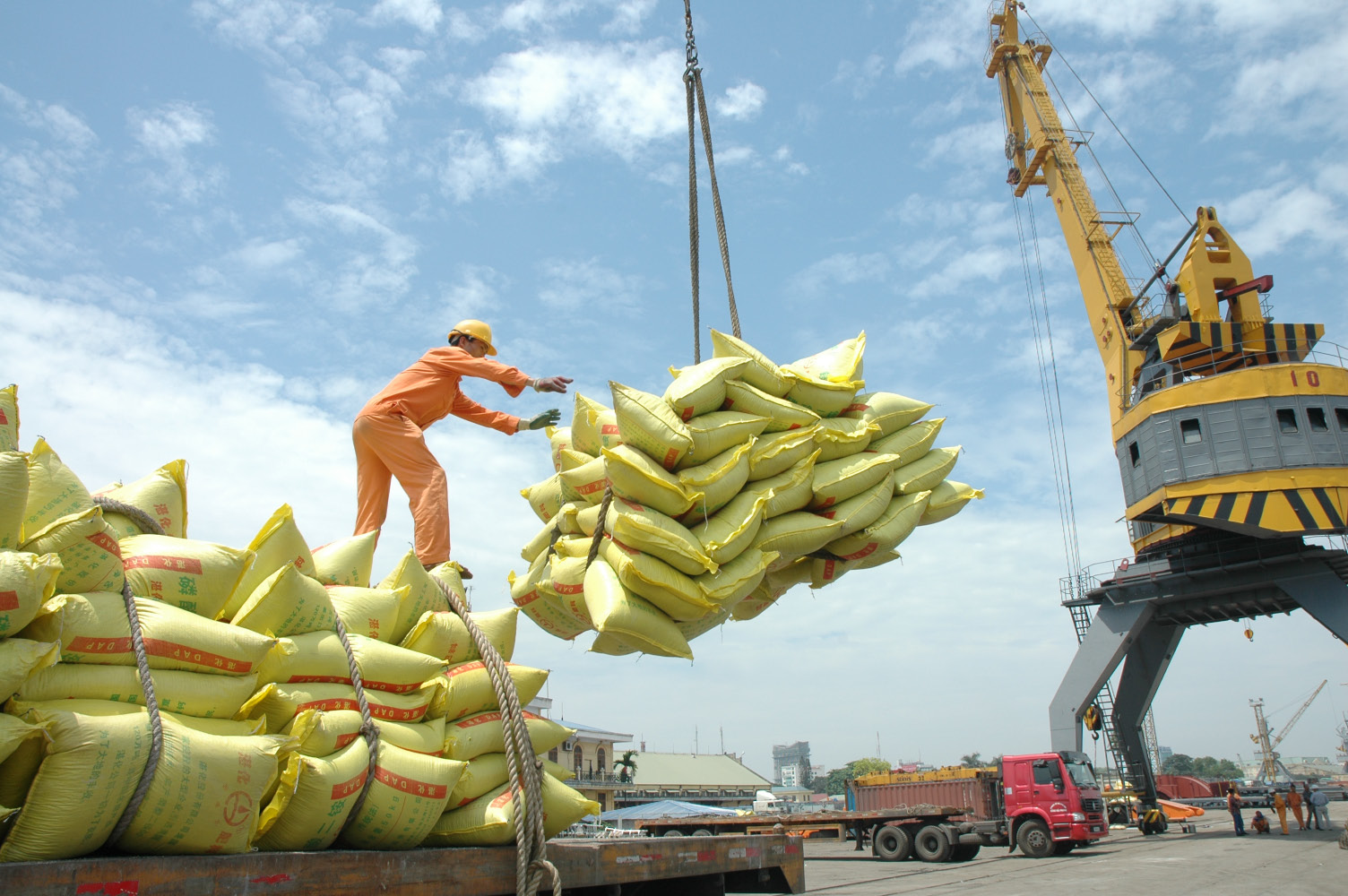 Giá gạo xuất khẩu trên toàn châu Á tiếp tục giảm