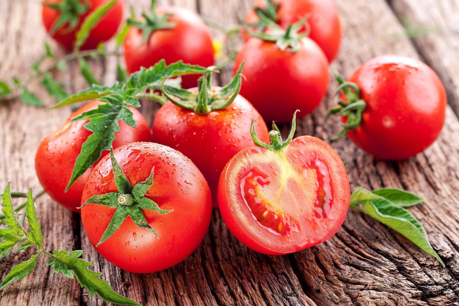 Chất dinh dưỡng có trong cà chua